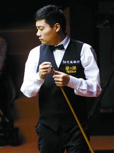 擅长游泳的 擅长游泳的