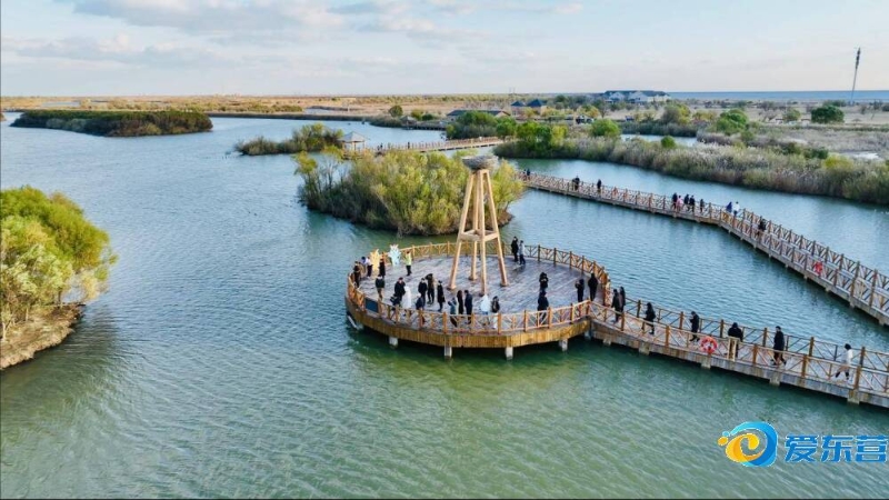 改善这一问 改善这一问